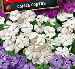 Флокс Калейдоскоп, смесь сортов