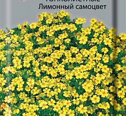 Бархатцы тонколистные Лимонный самоцвет