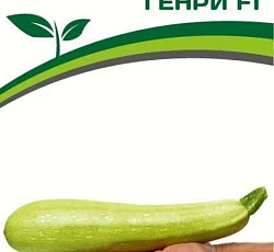 Кабачок Генри F1