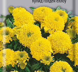 Бархатцы прямостоячие Купид голден еллоу