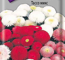 Маргаритка Тассо Микс