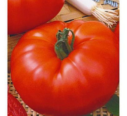Томат Морковный