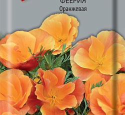 Эшшольция феерия Оранжевая