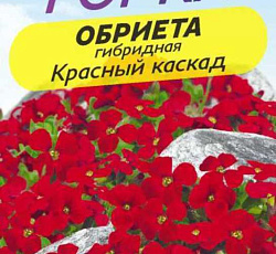 Обриета Красный каскад (гибридная)
