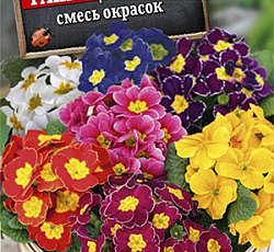 Примула бесстебельная Раннецветущая F1 (смесь окрасок)