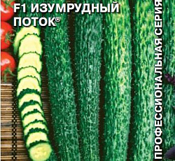 Огурец Изумрудный поток F1