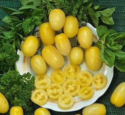 Томат Финик белый F1