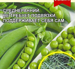 Горох Безлисточковый