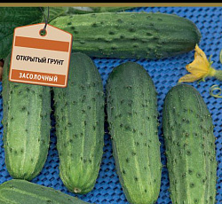 Огурец Боярский F1