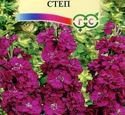 Левкой Степ