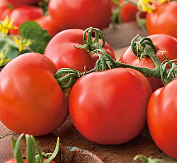 Томат Мадам Помпадур F1