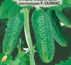 Огурец Салинас F1