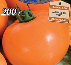 Томат Золото скифов F1