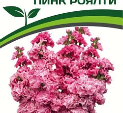 Маттиола срезочная махровая Пинк Роялти