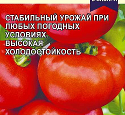 Томат Кабанчик F1