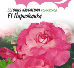 Бегония клубневая Парижанка F1