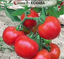Томат Кохава F1