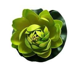 Лилия водоплавающая Салатовая d-10см