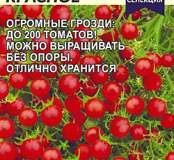 Томат Ожерелье красное