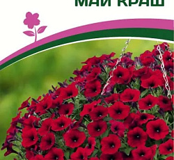 Петуния "Зацветет" Long Май Краш F1 многоцветковая ампельная