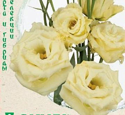 Эустома (лизиантус) Алисса желтая F1 (крупноцветковая)