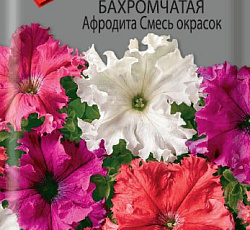 Петуния бахромчатая Афродита Смесь окрасок