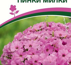 Петуния "Зацветет" Short Пинки Милки F1 многоцветковая каскадная