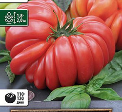 Томат Лотарингская красавица красная