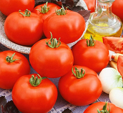 Томат Снеговик F1