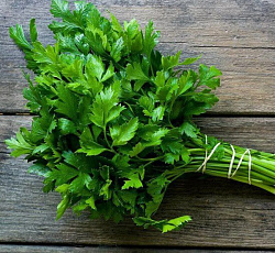 Петрушка листовая Пучковая