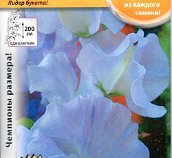 Душистый горошек Светло-сиреневый Русский размер