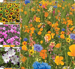 Газон цветущий "СОЛАР", 120 г