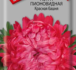 Астра Пионовидная Красная башня