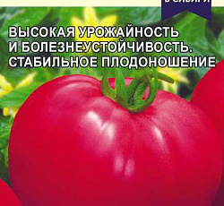 Томат Пухляш F1