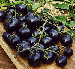 Томат Всем на зависть F1