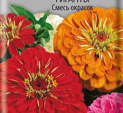 Цинния Калифорнийские Гиганты Смесь окрасок
