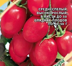 Томат Чио-чио-сан