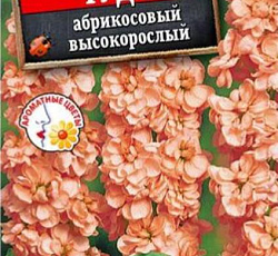 Левкой Чудо Абрикосовый