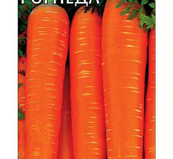 Морковь Рогнеда