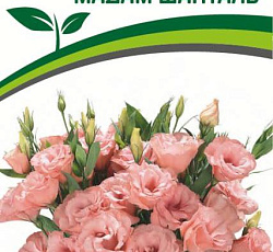 Эустома F1 срезочная махровая Мадам Шанталь