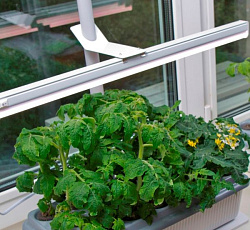 Растущий светодиодный светильник 9 Вт "Здоровья Клад"