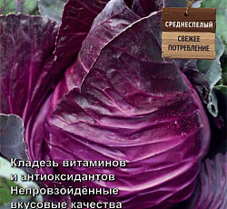 Капуста краснокочанная Красное сердце