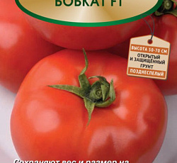 Томат Бобкат F1