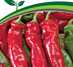 Перец сладкий Рубине F1