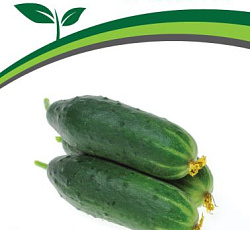 Огурец Трюкач F1
