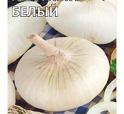 Лук репчатый Ялтинский белый местный