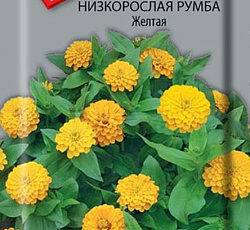 Цинния низкорослая Румба Желтая