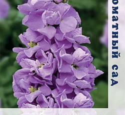 Маттиола Аромагия Лиловая