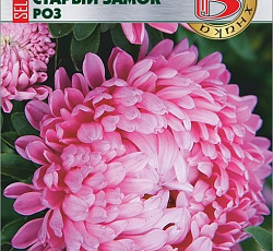 Астра китайская Старый замок селект Роз