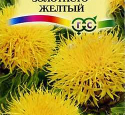 Василек Золотисто-желтый (крупноголовый)